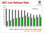 ACC Live Release Rate chart