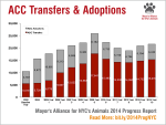 ACC Transfers & Adoptions chart